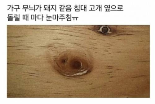 가구 무늬가 돼지 같음