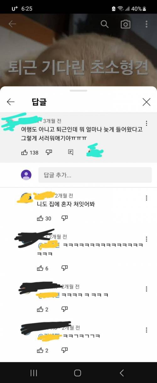 강아지 유튜브에 달린 급발진