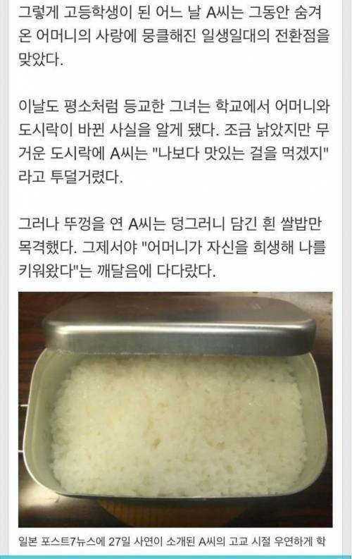 엄마와 뒤바뀐 도시락