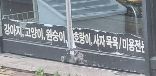 어차피 안올거라고 너무 막 던지는거 아님?