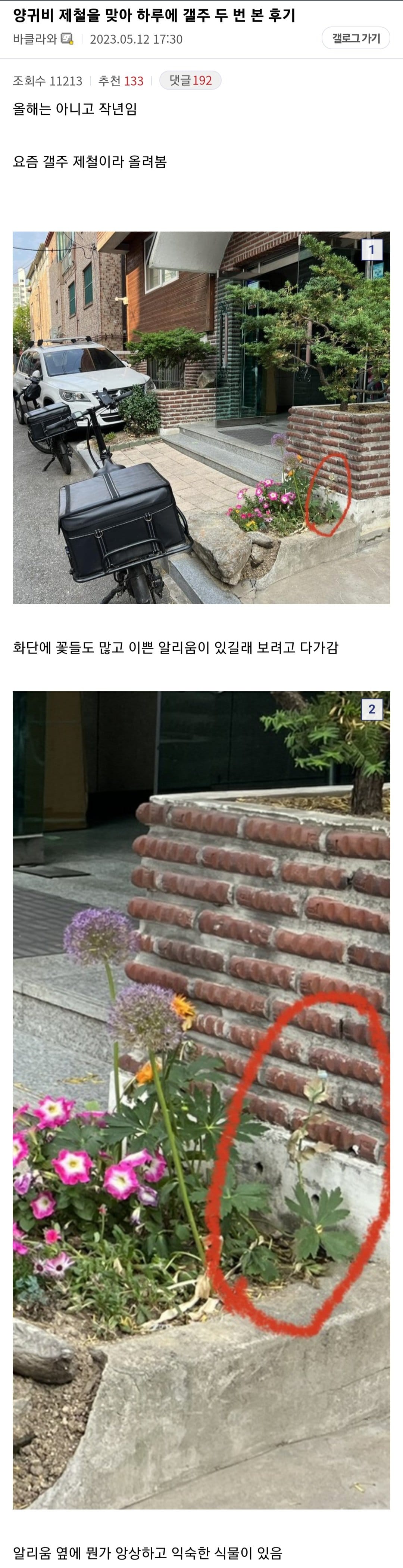 하루에 갤주를 2번본 식갤러.jpg