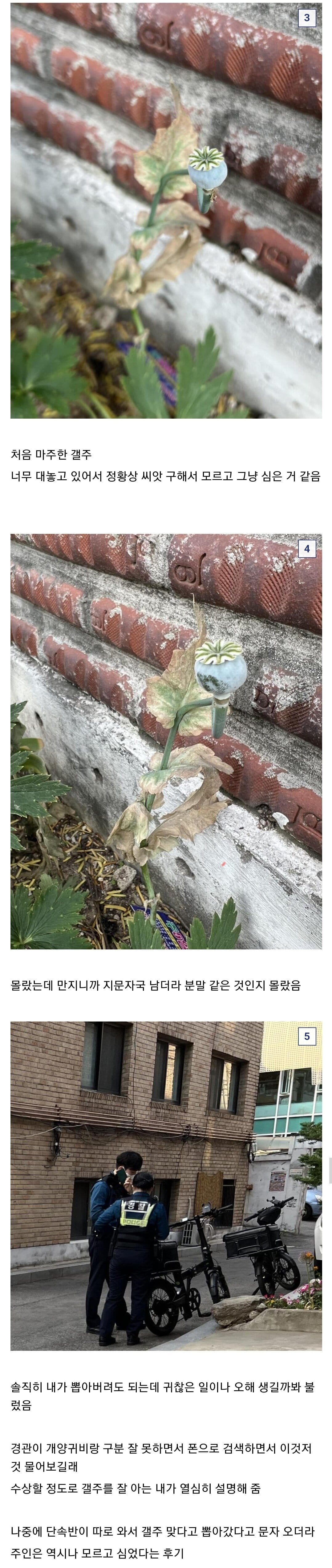 하루에 갤주를 2번본 식갤러.jpg