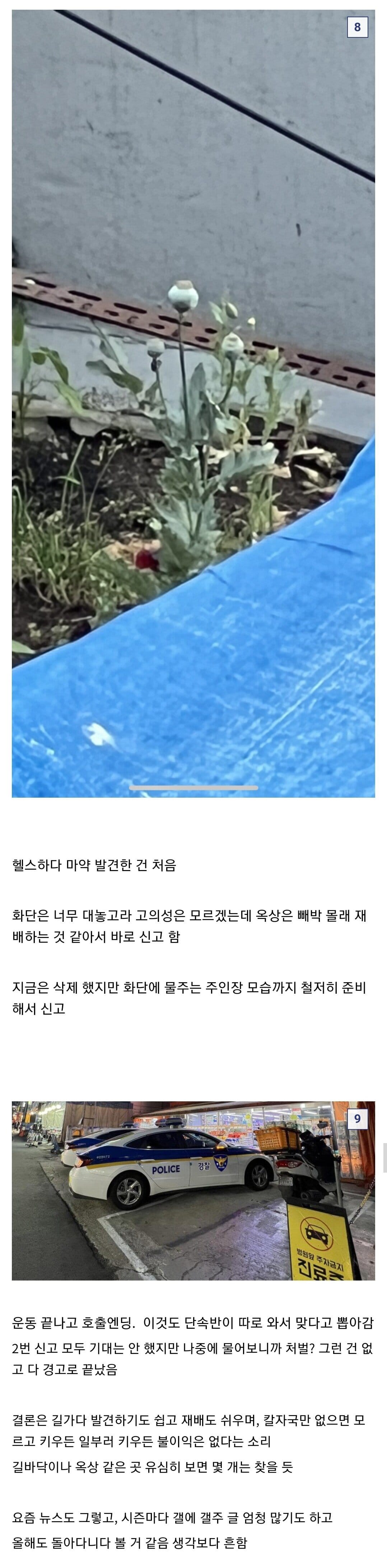 하루에 갤주를 2번본 식갤러.jpg