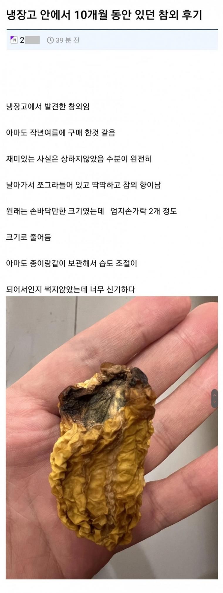 냉장고 안에서 10개월 있었던 참외.jpg