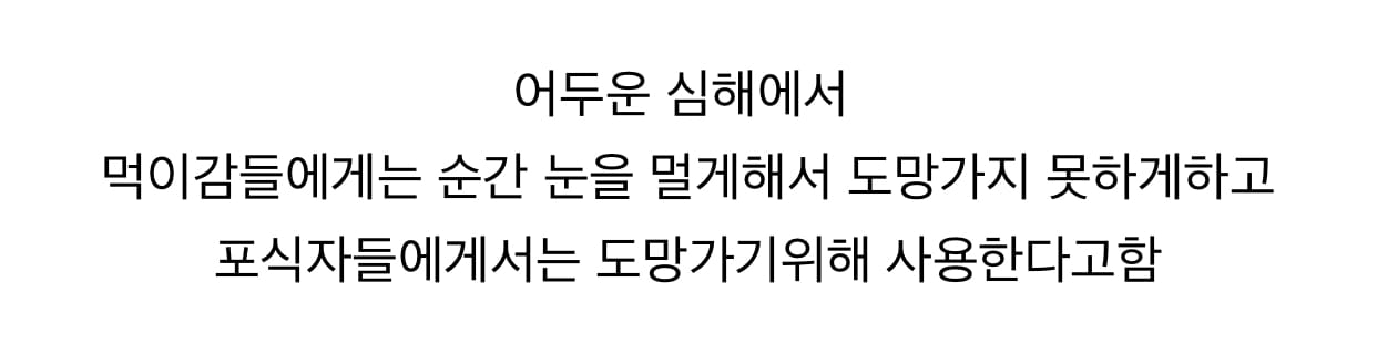 심해에서 쌍라이트 키는 대왕오징어.gif