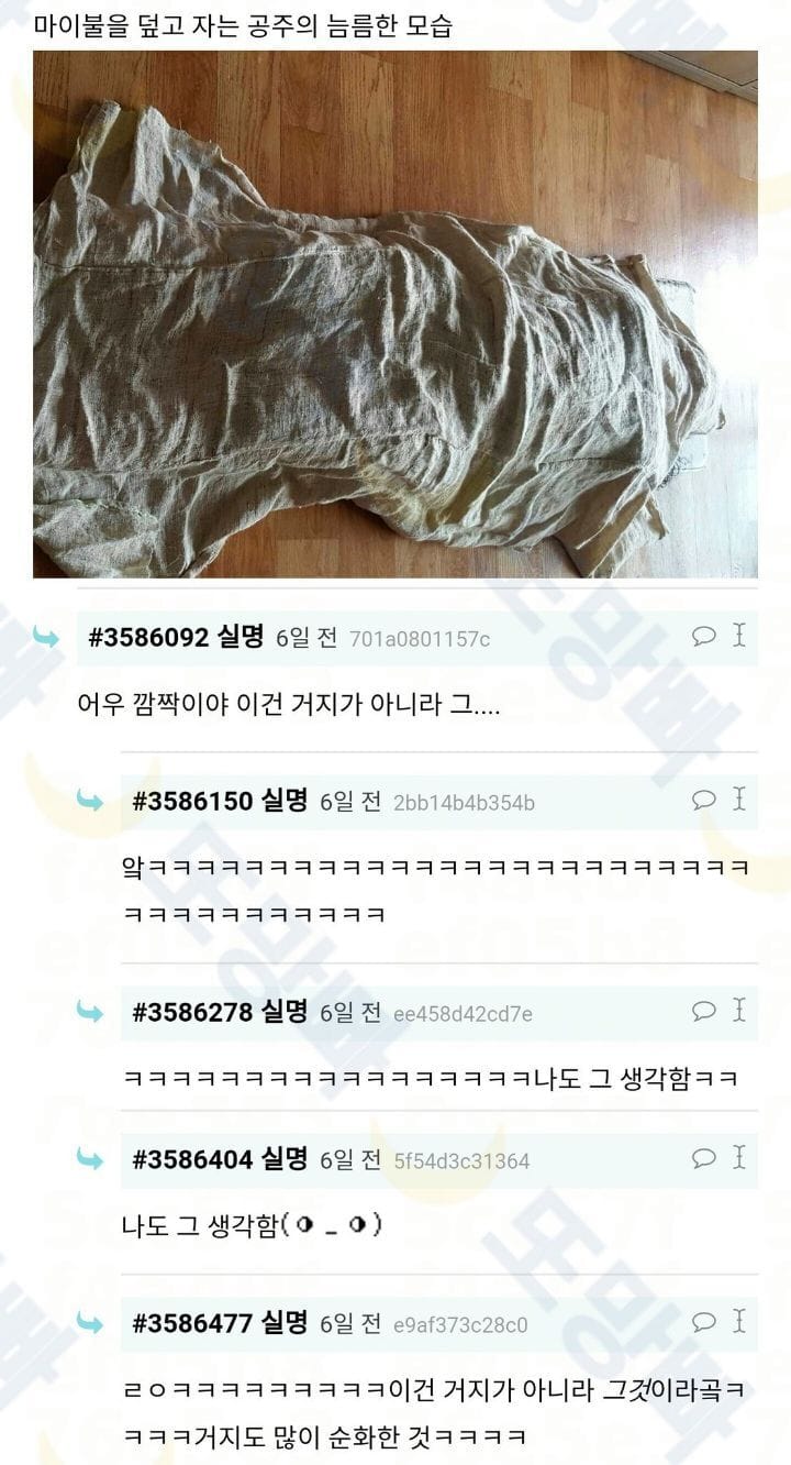 마이불 얻어와서 덮었는데 동생이 조선시대 그지같대.jpg