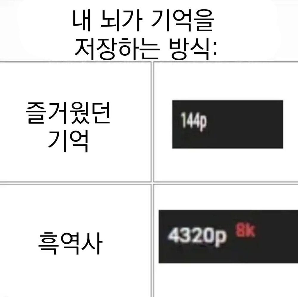 사람의 뇌가 기억을 저장하는 방식.jpg