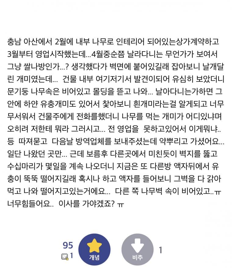 충남 아산에도 터진 흰개미 사건 ㄷㄷ