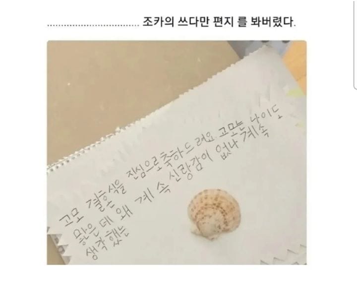 조카가 쓴 결혼축하편지