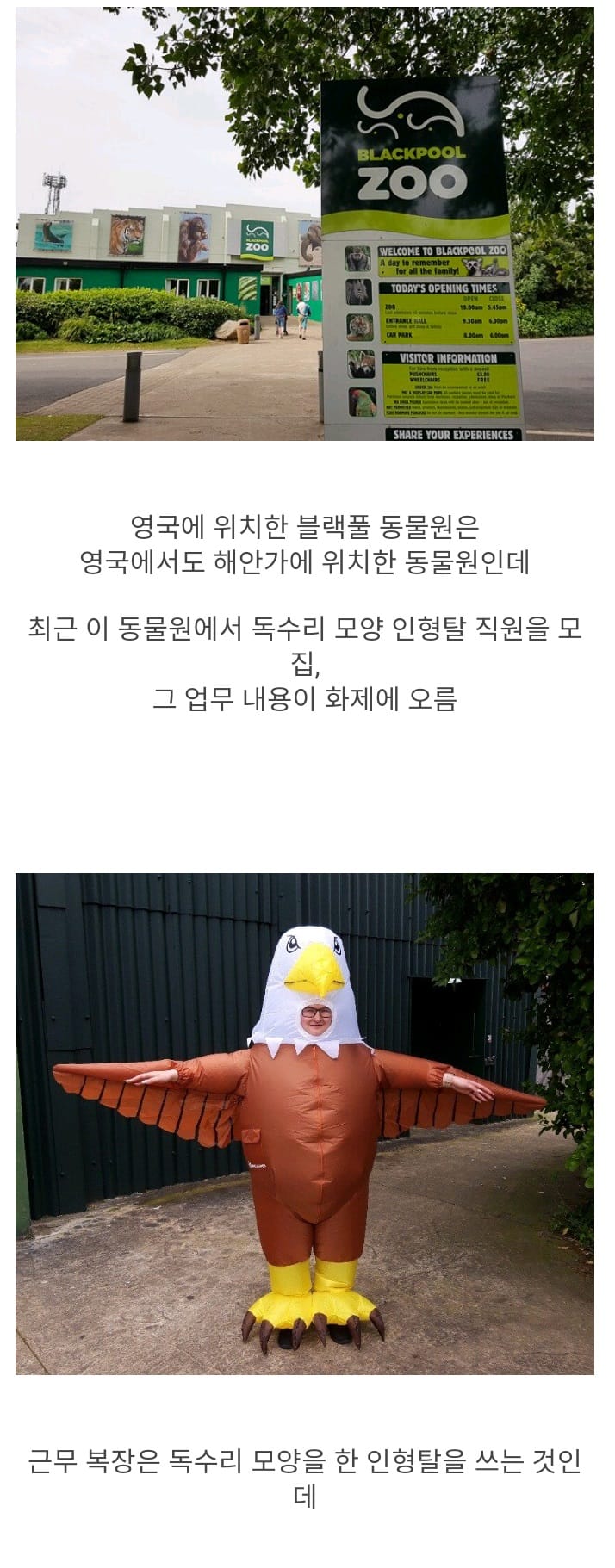영국에 있는 동물원이 인형탈 직원을 모집하는 이유