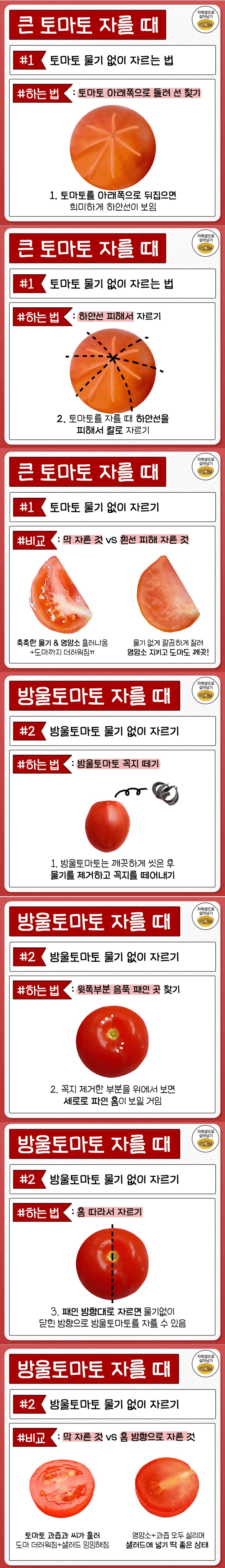 토마토 물기 없이 자르는 방법
