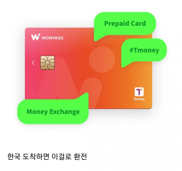 한국 놀러온 일본 여자들 국룰