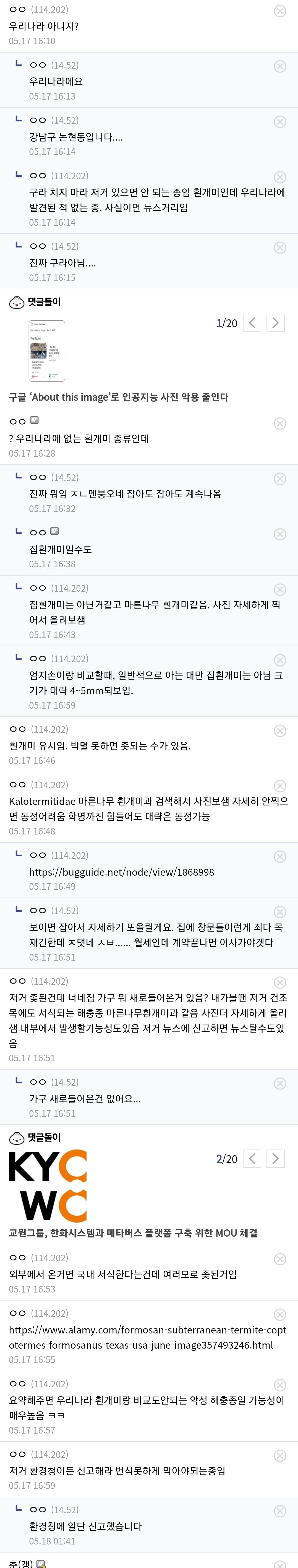 뒤집어진 곤충갤러리.jpg