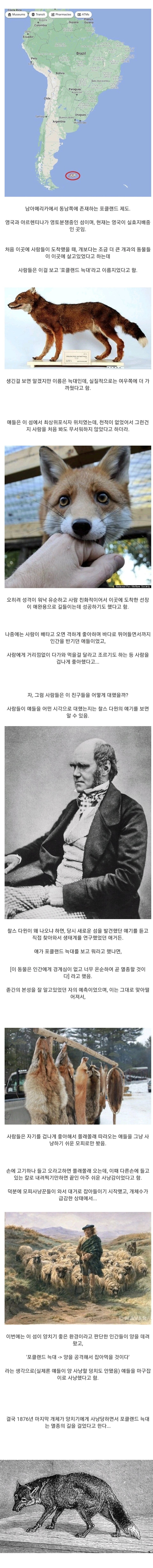 인간을 너무 좋아해서 멸종당한 동물