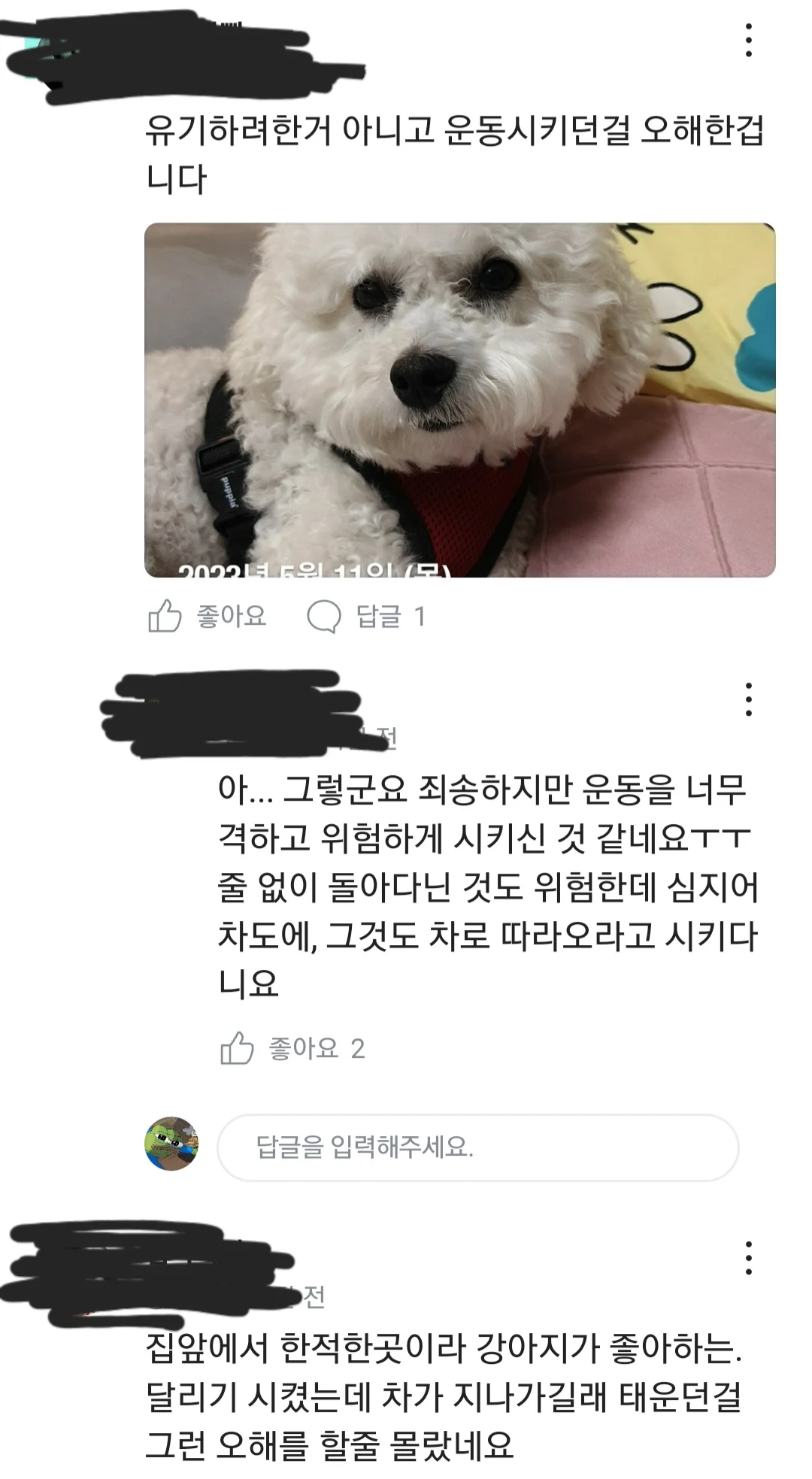 영종도에 강아지 유기하려던 벤츠 글의 진실.