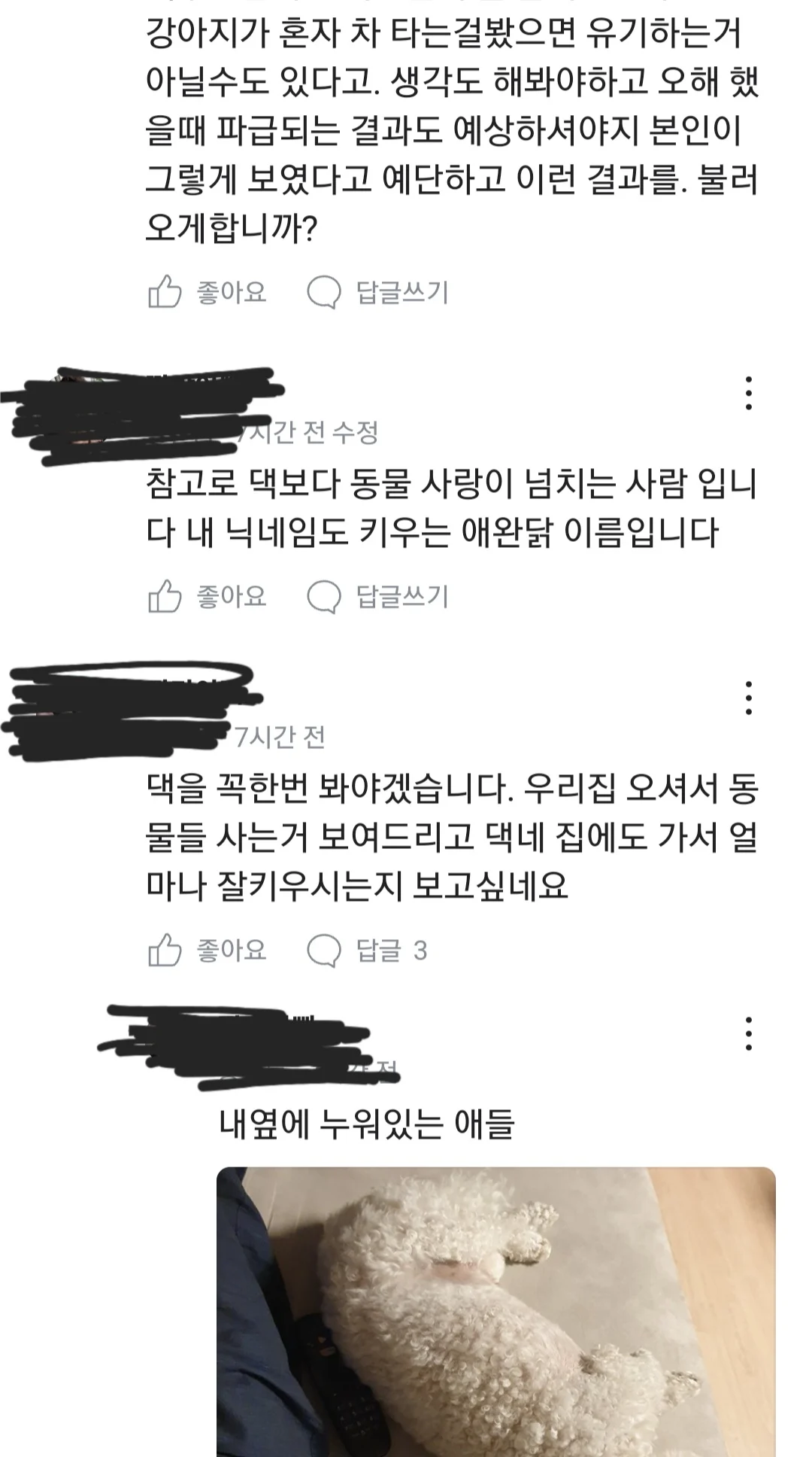 영종도에 강아지 유기하려던 벤츠 글의 진실.