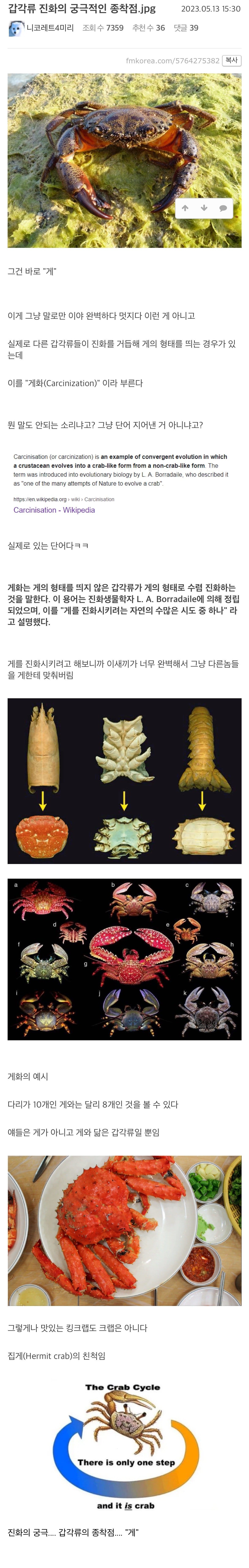 갑각류 진화의 궁극적인 종착점.jpg