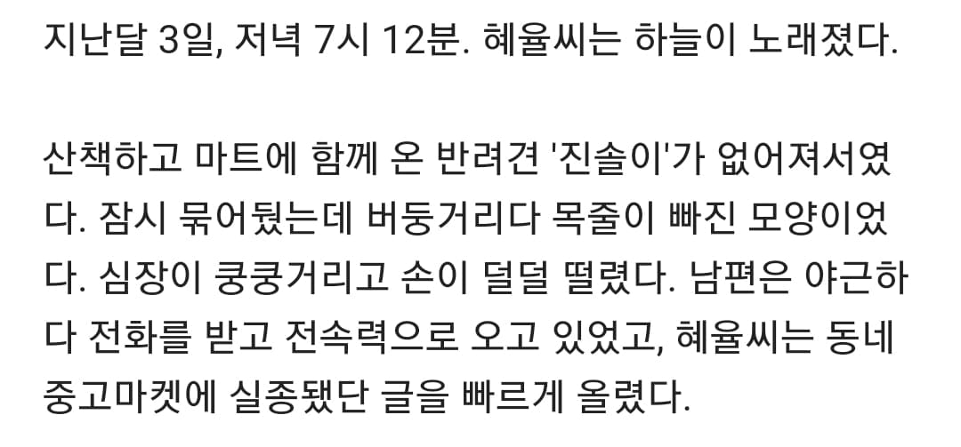 잃어버린 개가 집 찾아온 사연.jpg