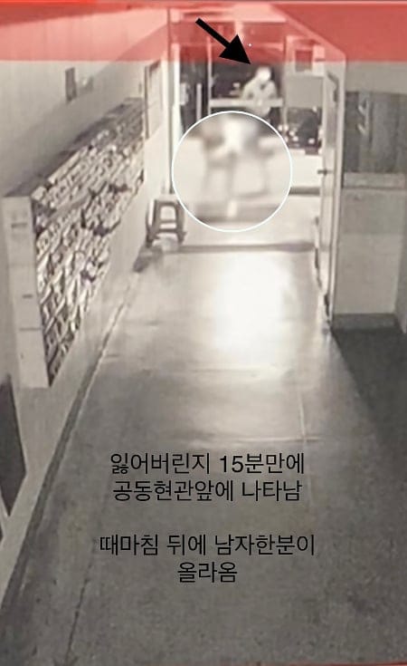 잃어버린 개가 집 찾아온 사연.jpg