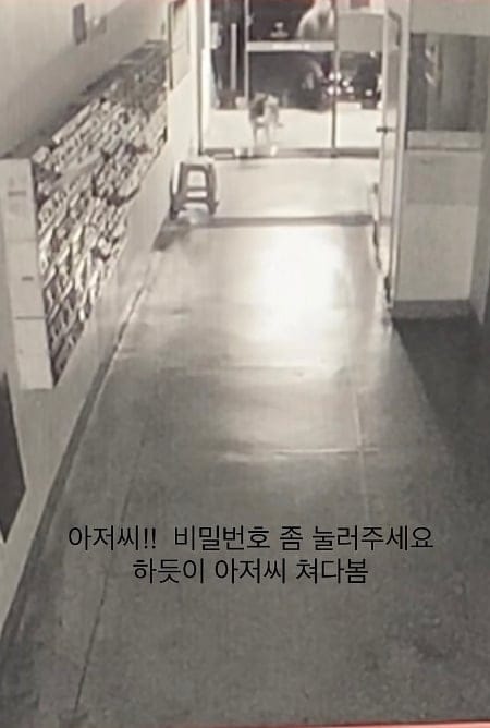 잃어버린 개가 집 찾아온 사연.jpg