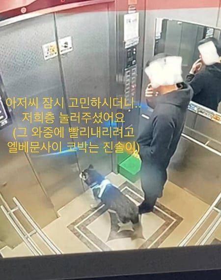 잃어버린 개가 집 찾아온 사연.jpg