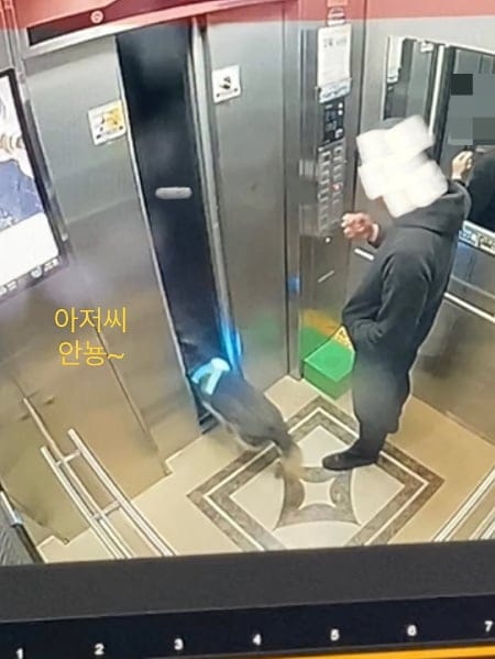 잃어버린 개가 집 찾아온 사연.jpg
