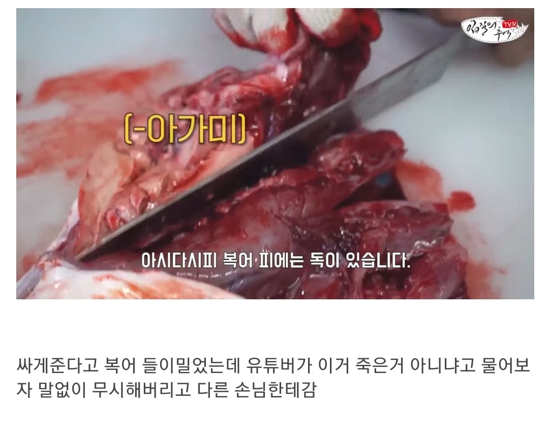 죽은 복어를 횟감으로 팔려다 걸린 상인반응