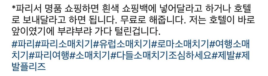 파리 여행 이틀차에 소매치기 당한 사람