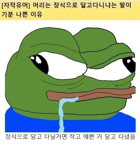 머리가 장식이냐는 말이 기분 나쁜 이유