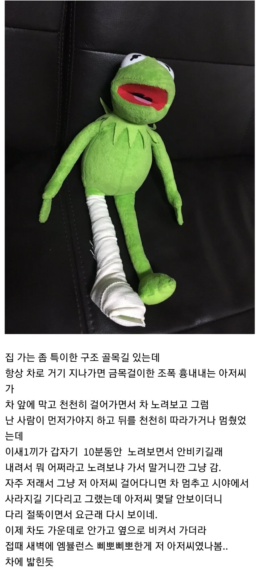 물리치료로 정신병이 치료된 사람