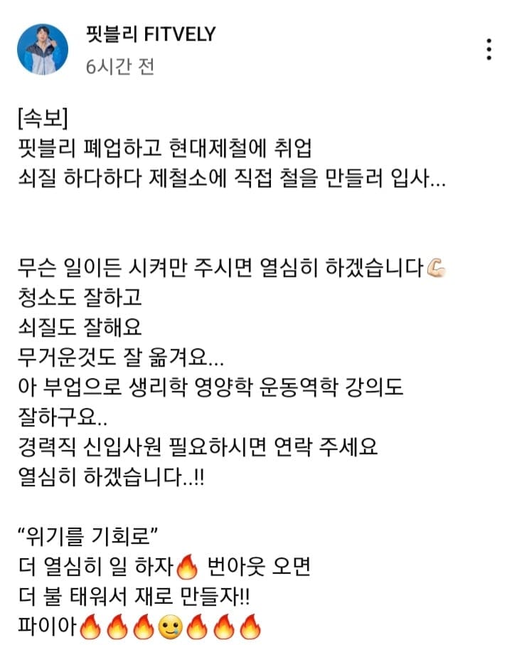 취업한 핏블리