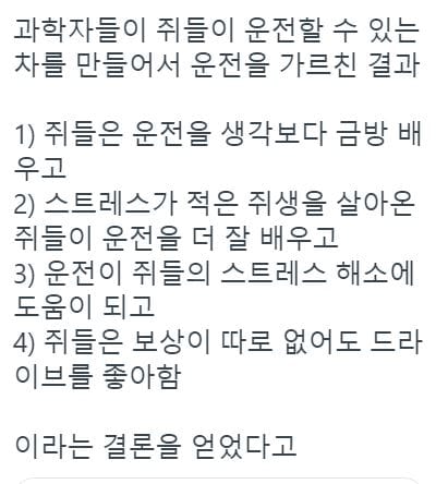 쥐한테 자동차 운전 가르쳐 줌