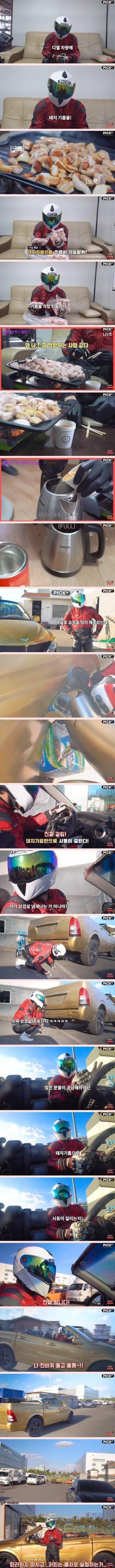 돼지 기름으로 운전이 가능할까?.jpg