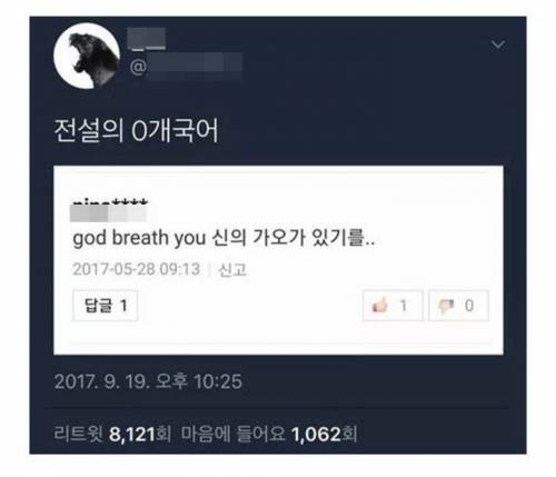 전설의 0개국어