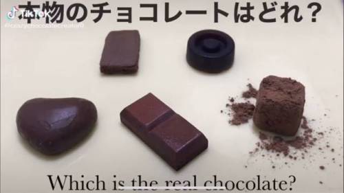 진짜 초콜릿 찾기