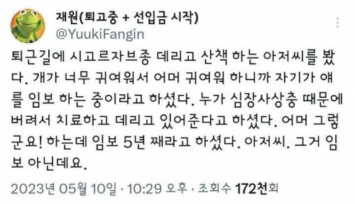 시고르자브종 키우는 아저씨