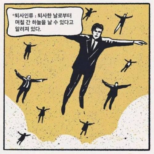 회사를 다니면서 겪게 되는 여러 상황들 .jpg