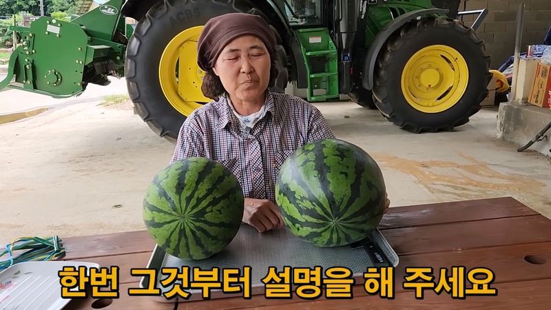 꿀수박 고르는 팁.jpg