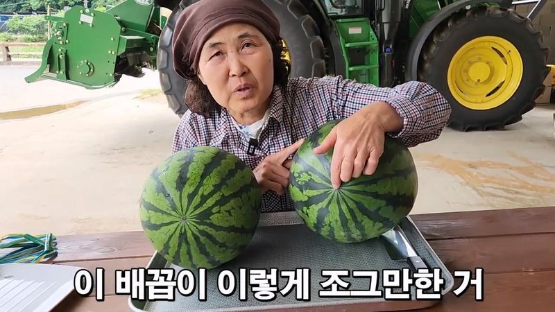 꿀수박 고르는 팁.jpg