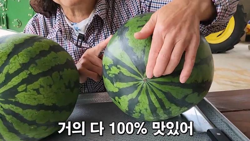 꿀수박 고르는 팁.jpg
