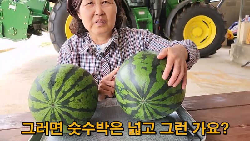 꿀수박 고르는 팁.jpg