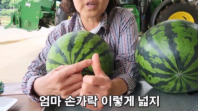 꿀수박 고르는 팁.jpg