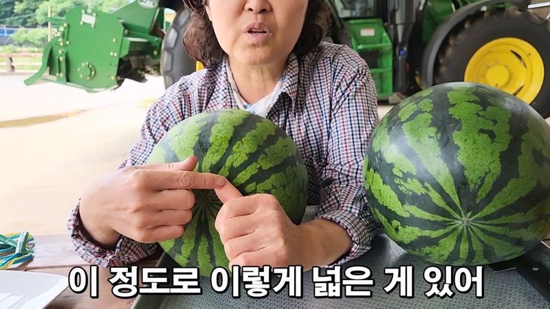 꿀수박 고르는 팁.jpg