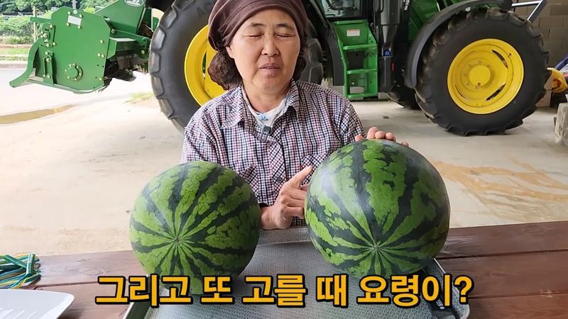 꿀수박 고르는 팁.jpg