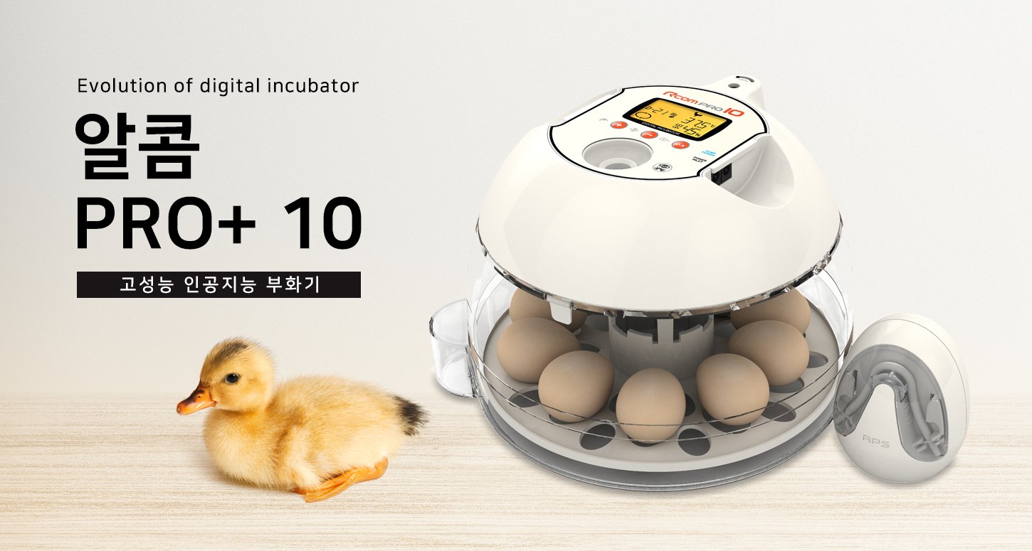 담당 학생이 주말에 카톡하면 민폐인가요.jpg
