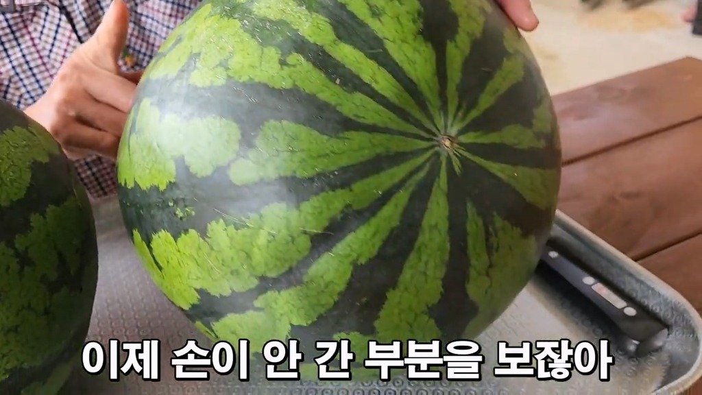 꿀수박 고르는 팁.jpg