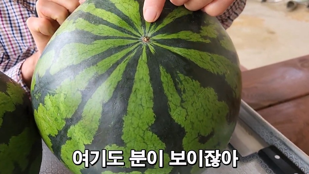 꿀수박 고르는 팁.jpg