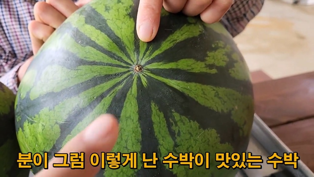 꿀수박 고르는 팁.jpg