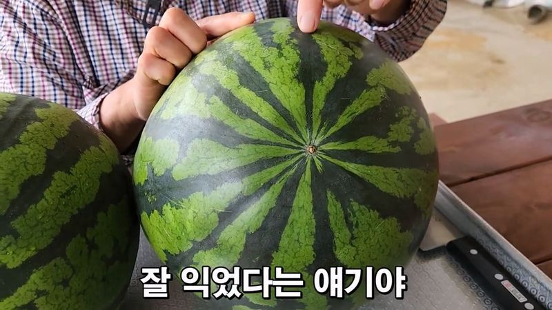 꿀수박 고르는 팁.jpg