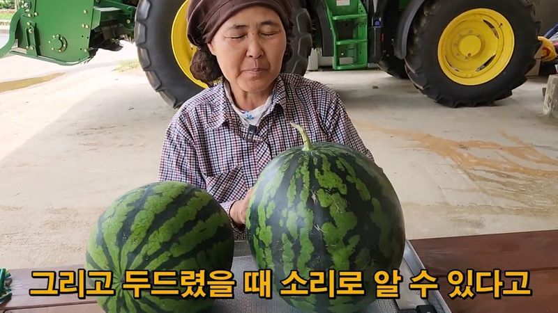 꿀수박 고르는 팁.jpg